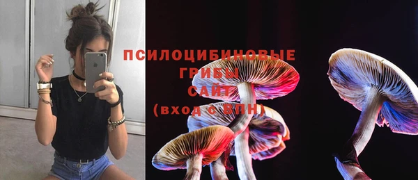 дурь Магадан