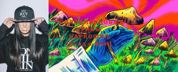 стаф Медвежьегорск