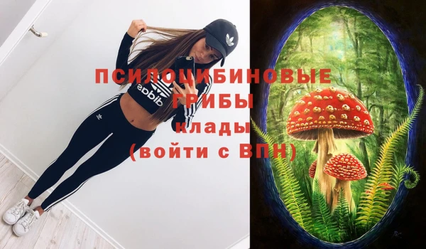 стаф Медвежьегорск