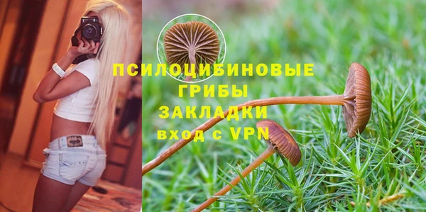 mdpv Медногорск