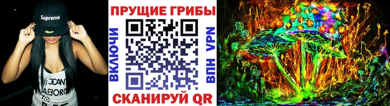 Псилоцибиновые грибы GOLDEN TEACHER  Павлово 