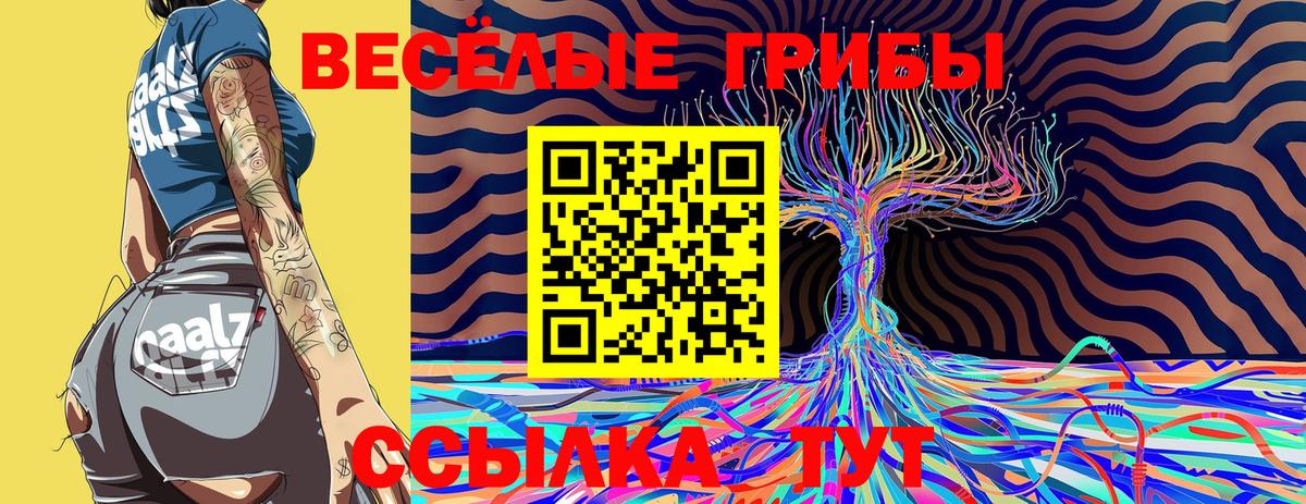 Павлово  Галлюциногенные грибы Magic Shrooms  Вход с VPN 