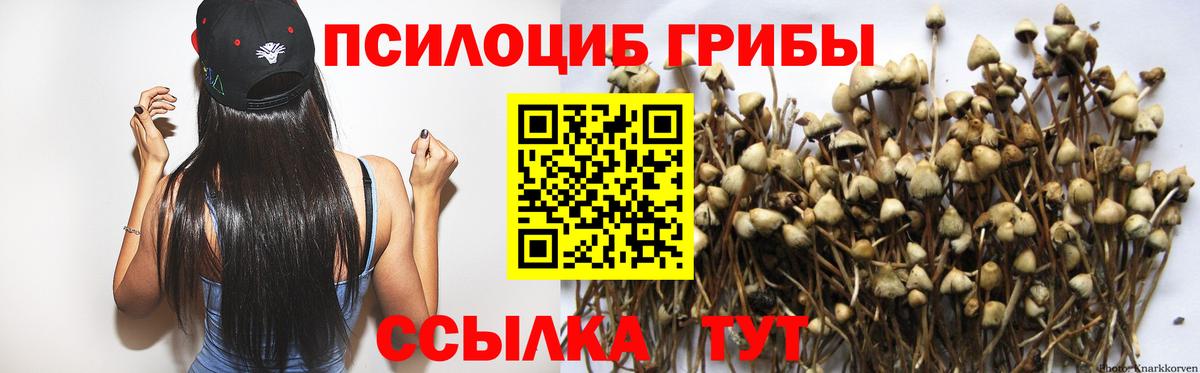 Галлюциногенные грибы Magic Shrooms Павлово